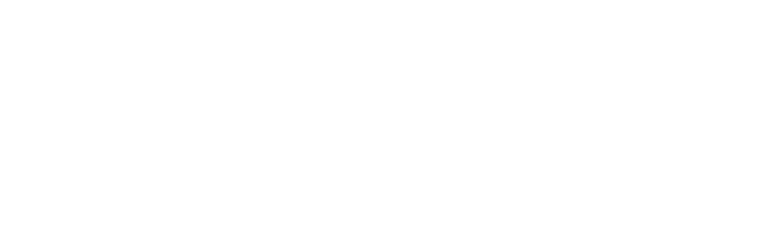 Google white logo